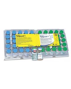 Vaccine for carnivorous plague, adenovirus, parainfluenza, parvovirus, coronavirus - Vanguard 7L vaccine for dogs 25 doses unitary. (BET) newyork Pharmacy Online - newyork.buy-pharm.com